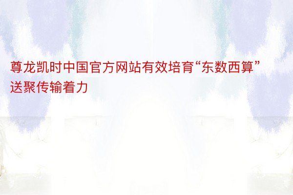 尊龙凯时中国官方网站有效培育“东数西算”送聚传输着力